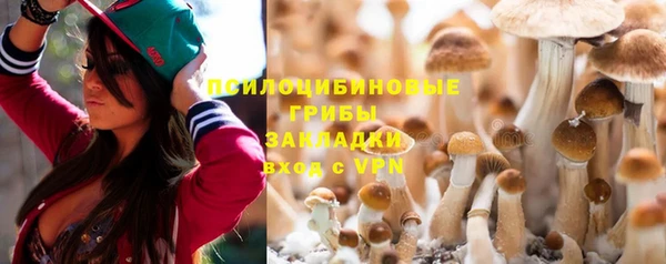 хмурый Богданович