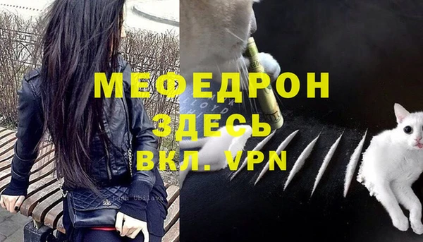 spice Богородск
