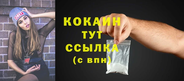 spice Богородск