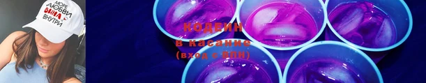 spice Богородск