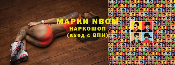 spice Богородск