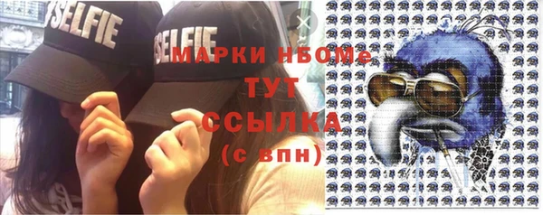 spice Богородск