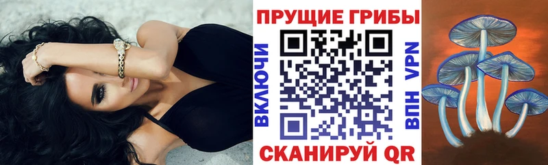 Галлюциногенные грибы мухоморы мега сайт Одинцово